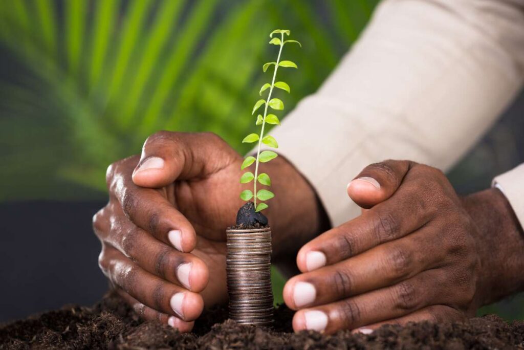 Hands protecting a small plant growing on top of a stack of coins.